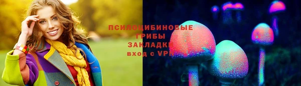 сатива Аркадак