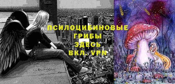 эйфоретик Балахна