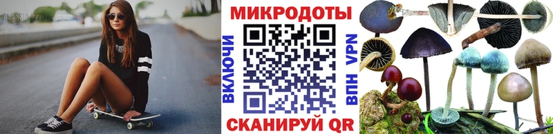 наркотики  Усть-Илимск  Псилоцибиновые грибы Psilocybine cubensis 